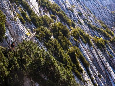 021-Blick in die steil abfallenden Nordwaende des Scheffauers